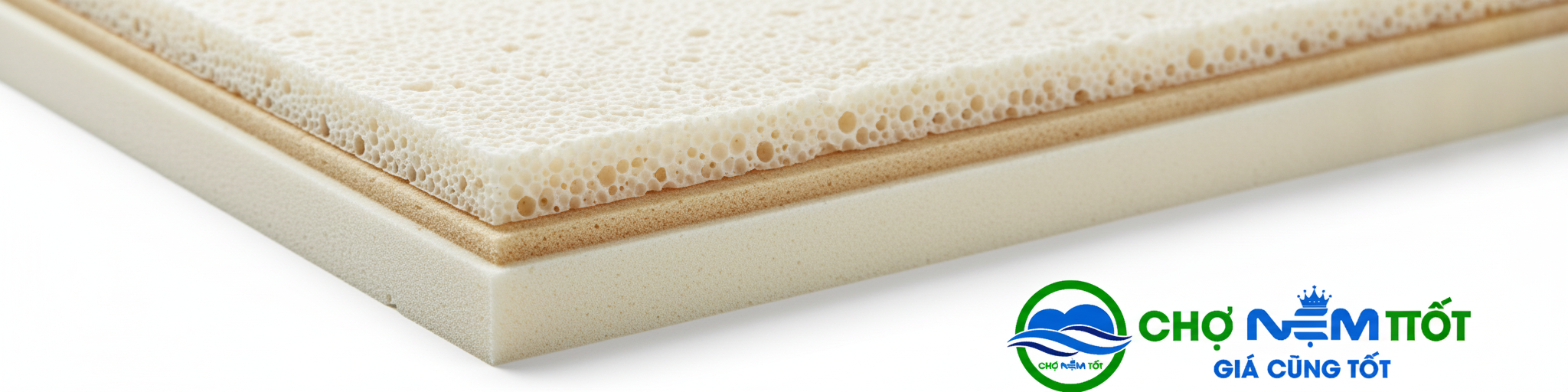 NỆM RẠNG ĐÔNG GOLD