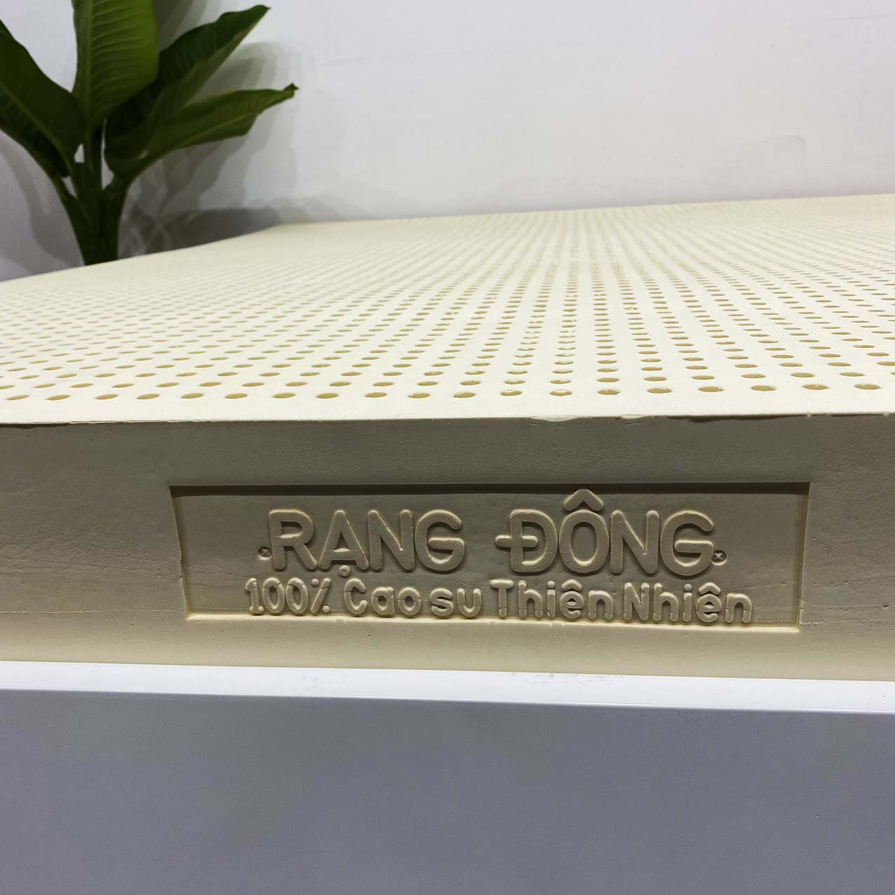 Nệm Cao Su Thiên Nhiên Rạng Đông